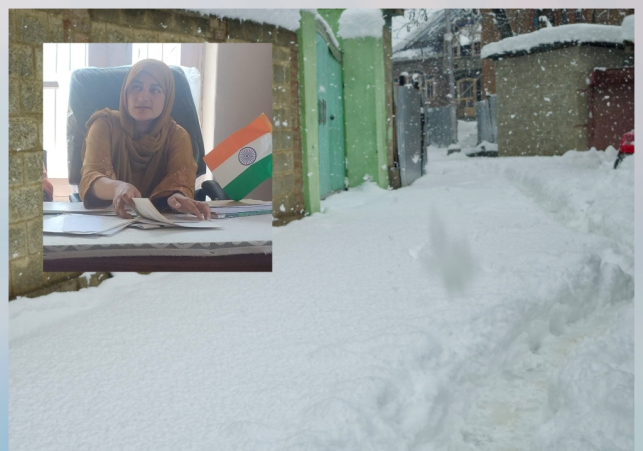 Kawari Lolab: Ex Sarpanch Ms Maraf Noor Raises Concern Over Blocked Link Roads